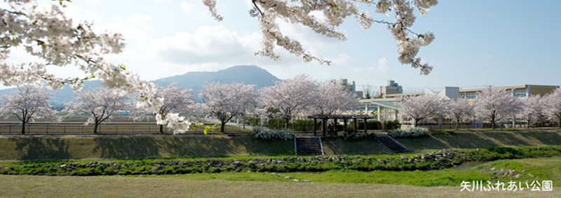 矢川公園